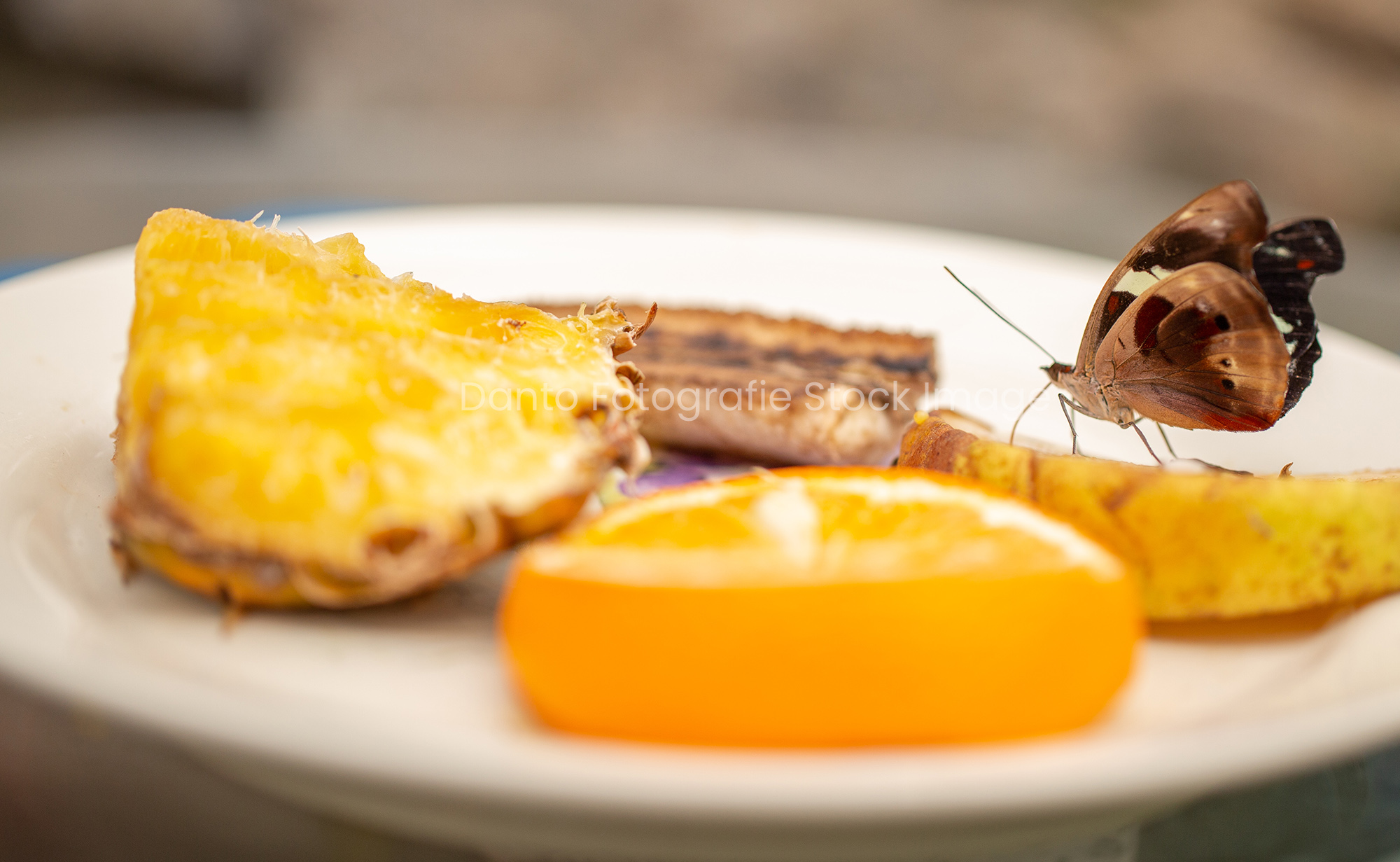 IJzeren bellen aan touw