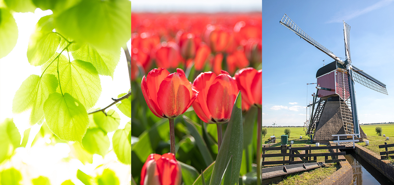 Landelijk | Stedelijk